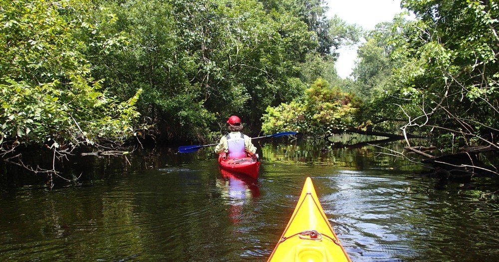 Earth Kinship Kayak Tours & Nature Education will be offering kayak tours and cleanup of Deep Creek from 9 to 11 a.m. March 26.